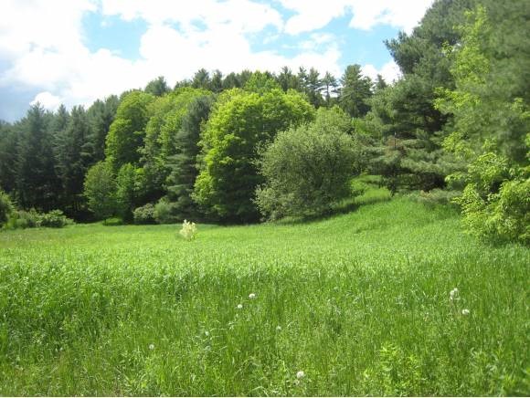 Beaver Meadow Road Norwich, VT 05055 - Photo 1 of 1