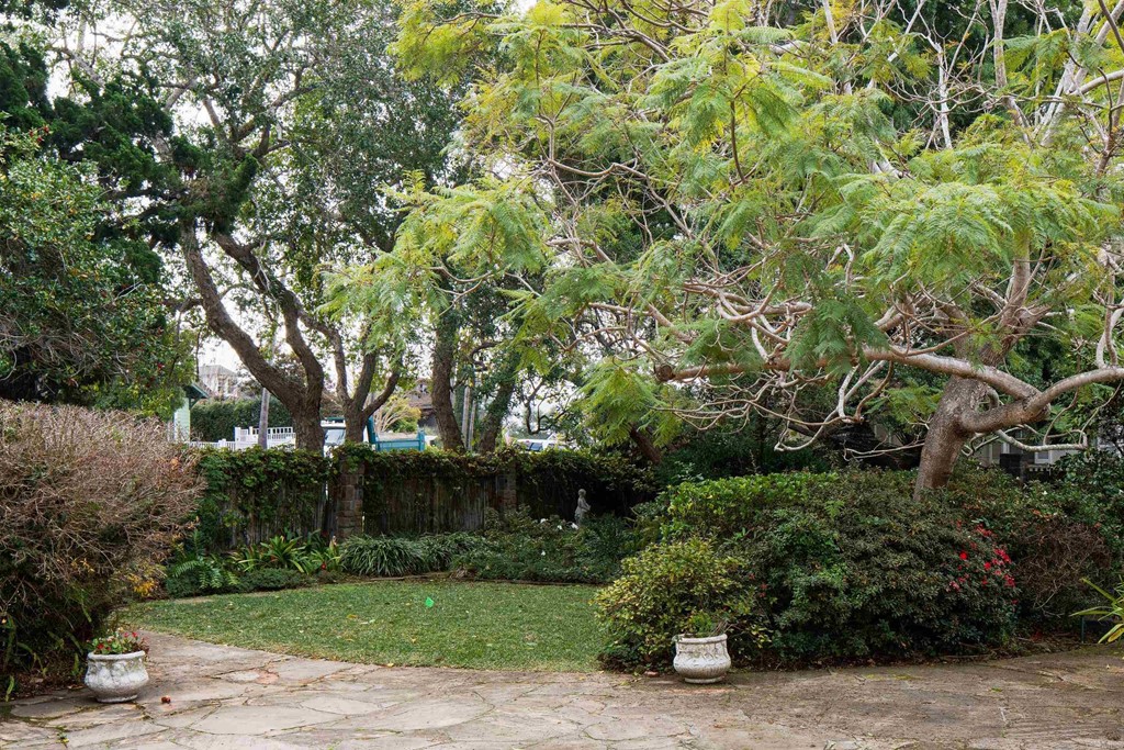 1380 Park Row La Jolla, CA 92037 - Photo 42 of 51 a view of a street with a tree