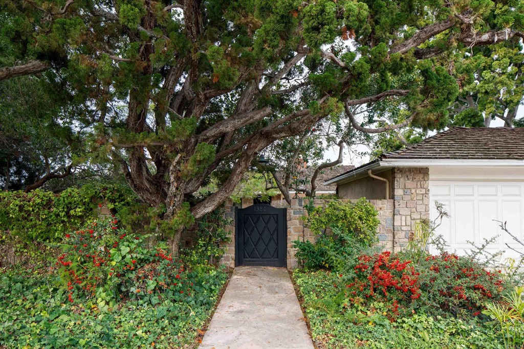 1380 Park Row La Jolla, CA 92037 - Photo 44 of 51 a pathway of a house with potted plants and large trees