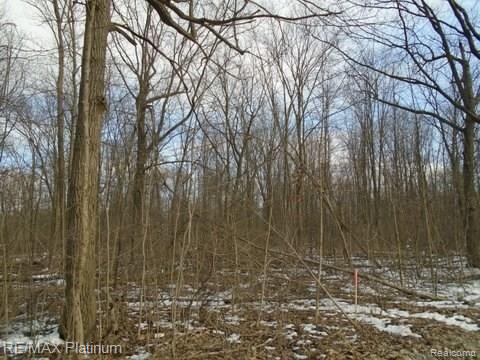 1 Hartland Road Fenton, MI 48430 - Photo 3 of 6