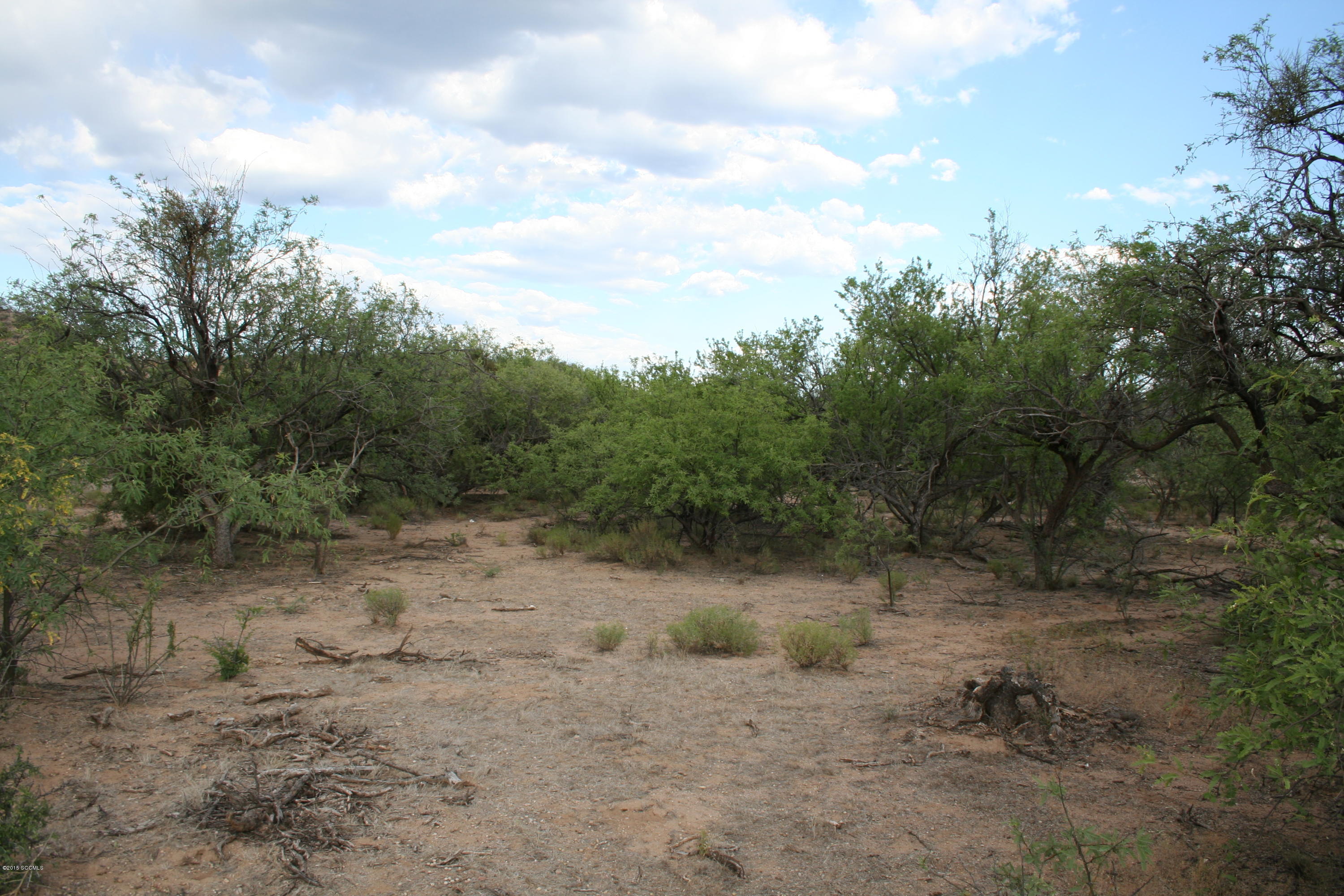 Tbd Tbd Chavez Siding Road, Unit 3 Tubac, AZ 85646 - Photo 9 of 10 IMG_3836