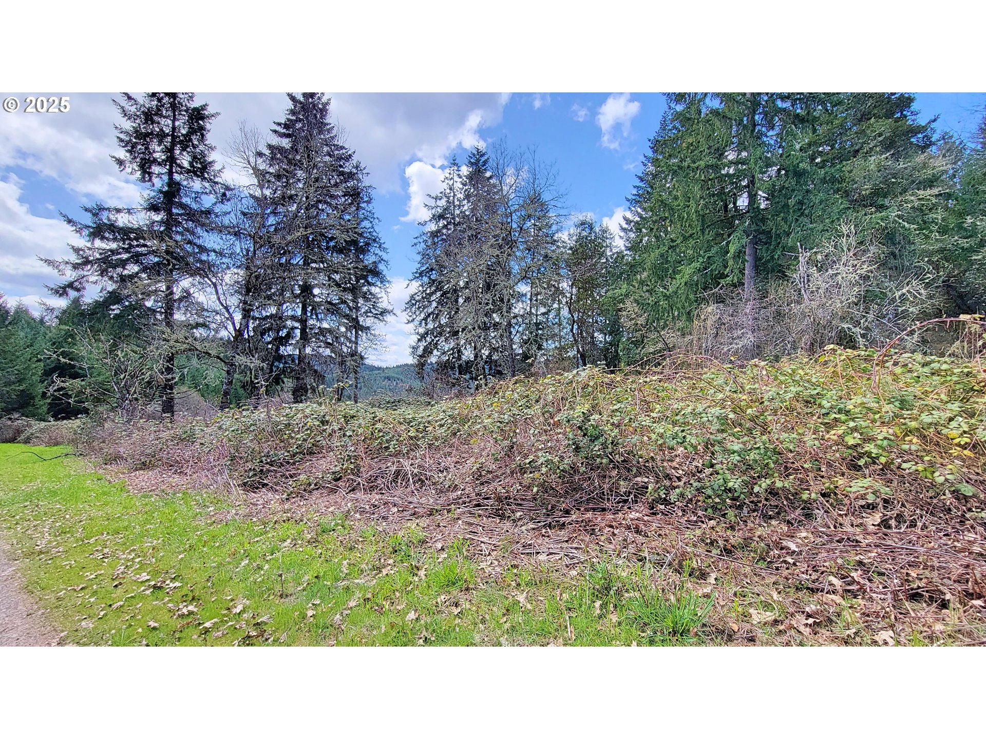 Bolton Hill Road North Veneta, OR 97487 - Photo 7 of 13 Gallery Image 7