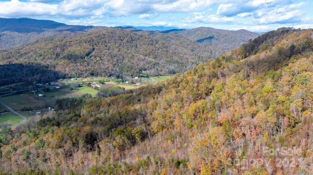 a view of a dry yard with green space