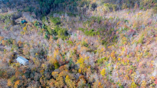 a view of a lush green field