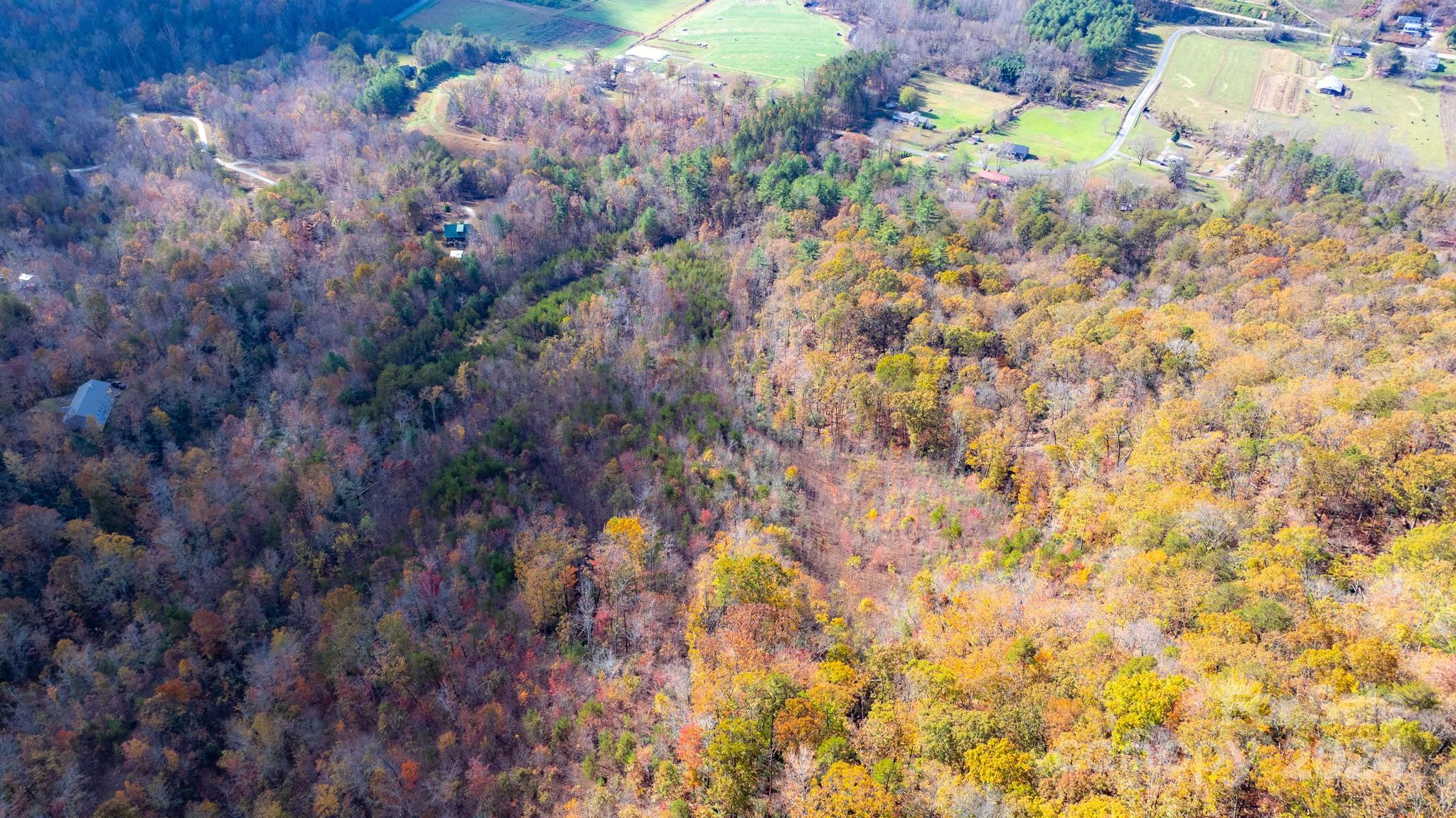 Tbd Wilkerson Way Marion, NC 28752 - Photo 16 of 35 a picture of tree