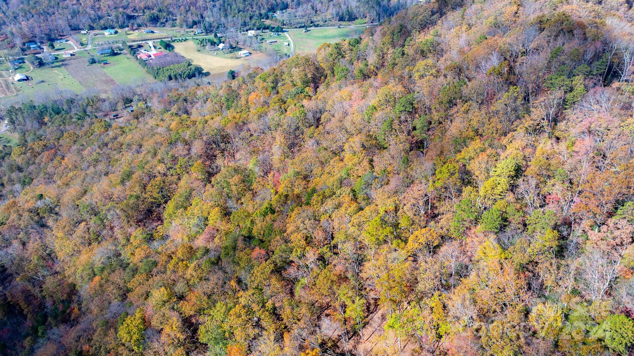 Tbd Wilkerson Way Marion, NC 28752 - Photo 17 of 35 a view of yard with green space