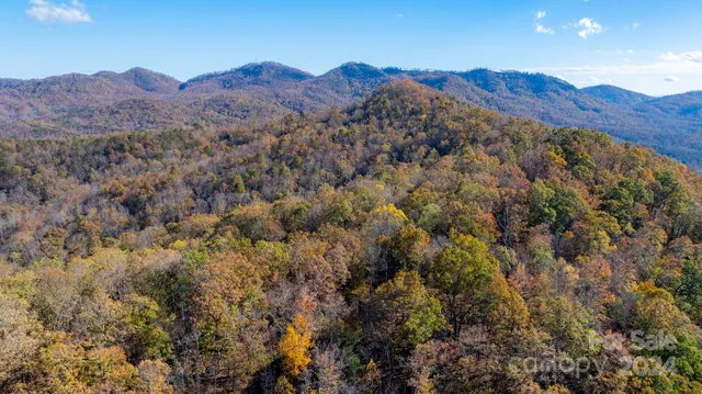 a view of a backyard with green space