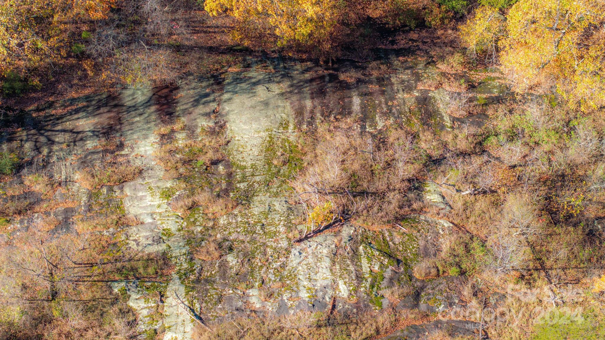 Tbd Wilkerson Way Marion, NC 28752 - Photo 26 of 35 a close up of a tree