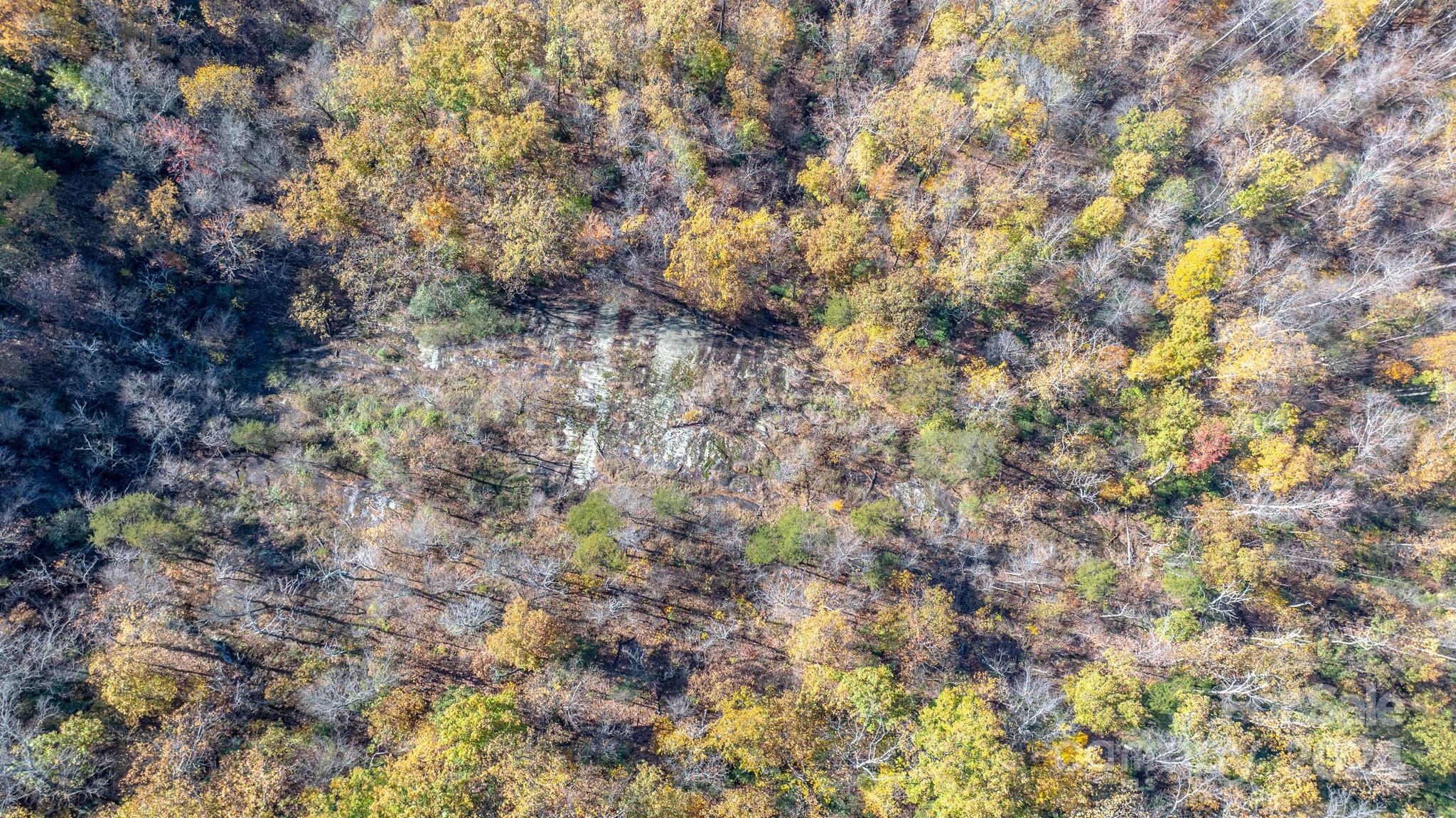 Tbd Wilkerson Way Marion, NC 28752 - Photo 27 of 35 a view of a tree