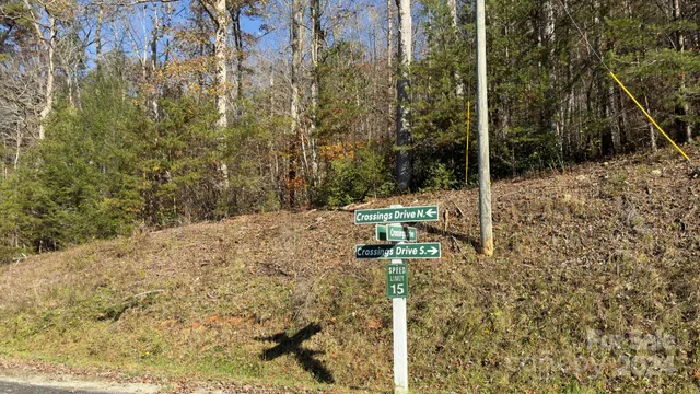 a close up of a plant in a garden