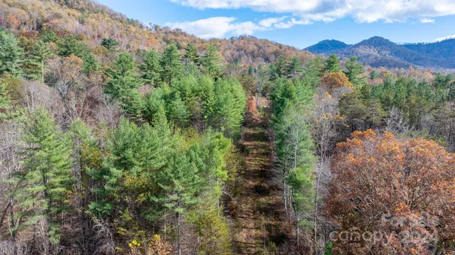 a view of a yard with mountain