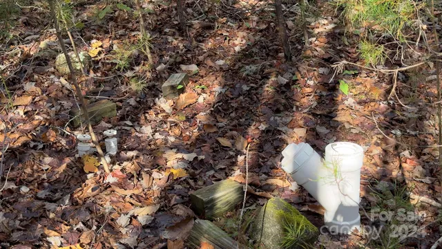 a room with wooden walls and a table and chairs