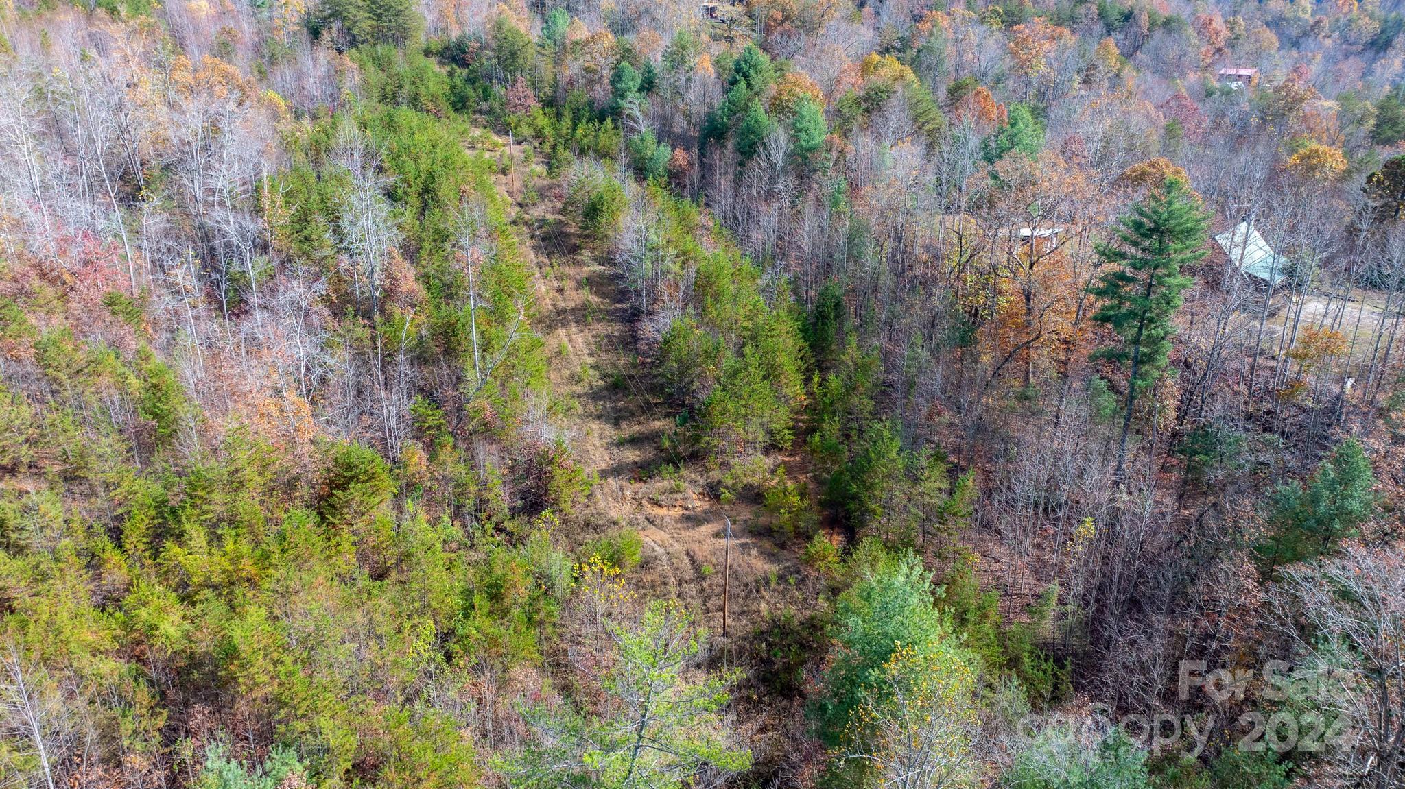Tbd Wilkerson Way Marion, NC 28752 - Photo 7 of 35 a view of a lush green forest with large trees