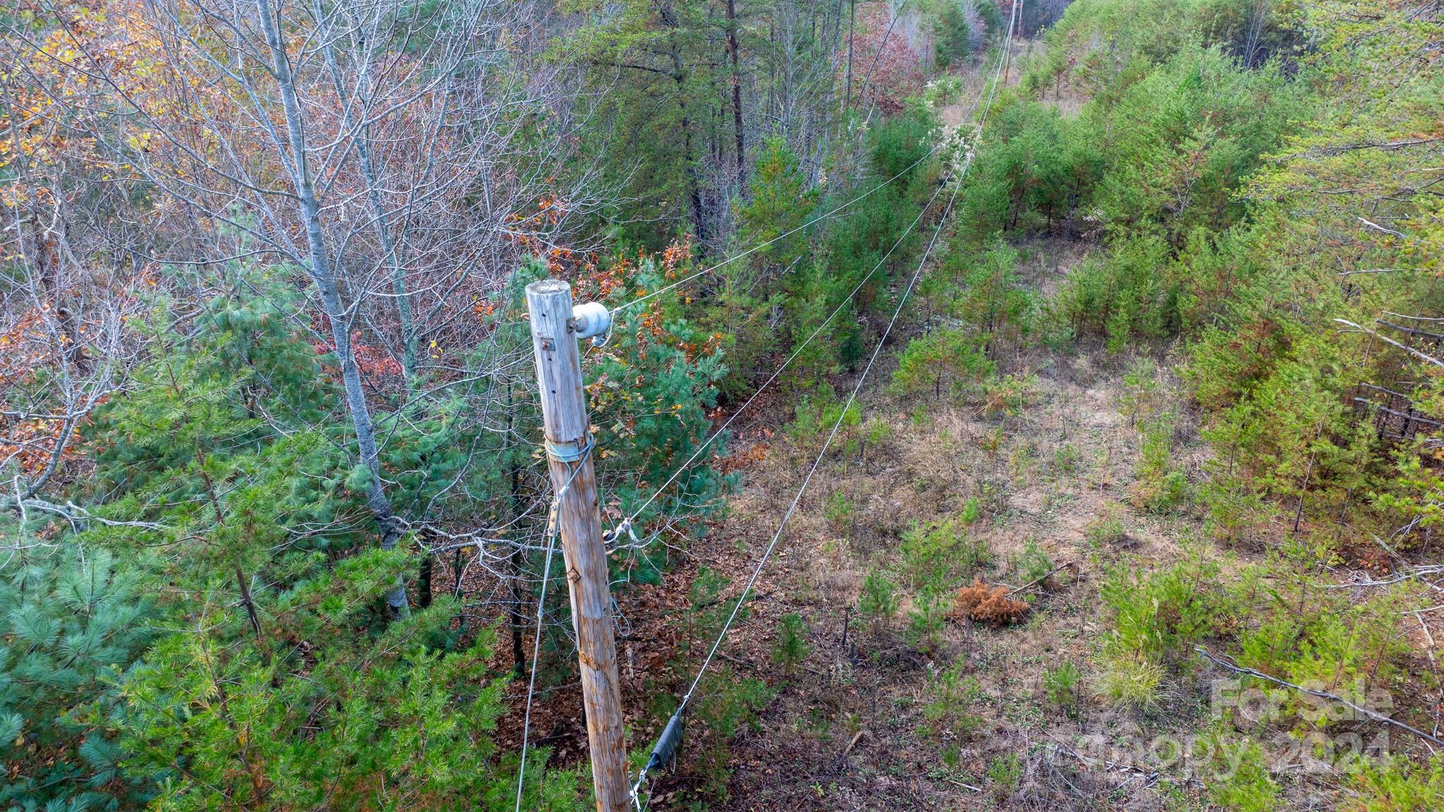 Tbd Wilkerson Way Marion, NC 28752 - Photo 9 of 35 a plant view in yard