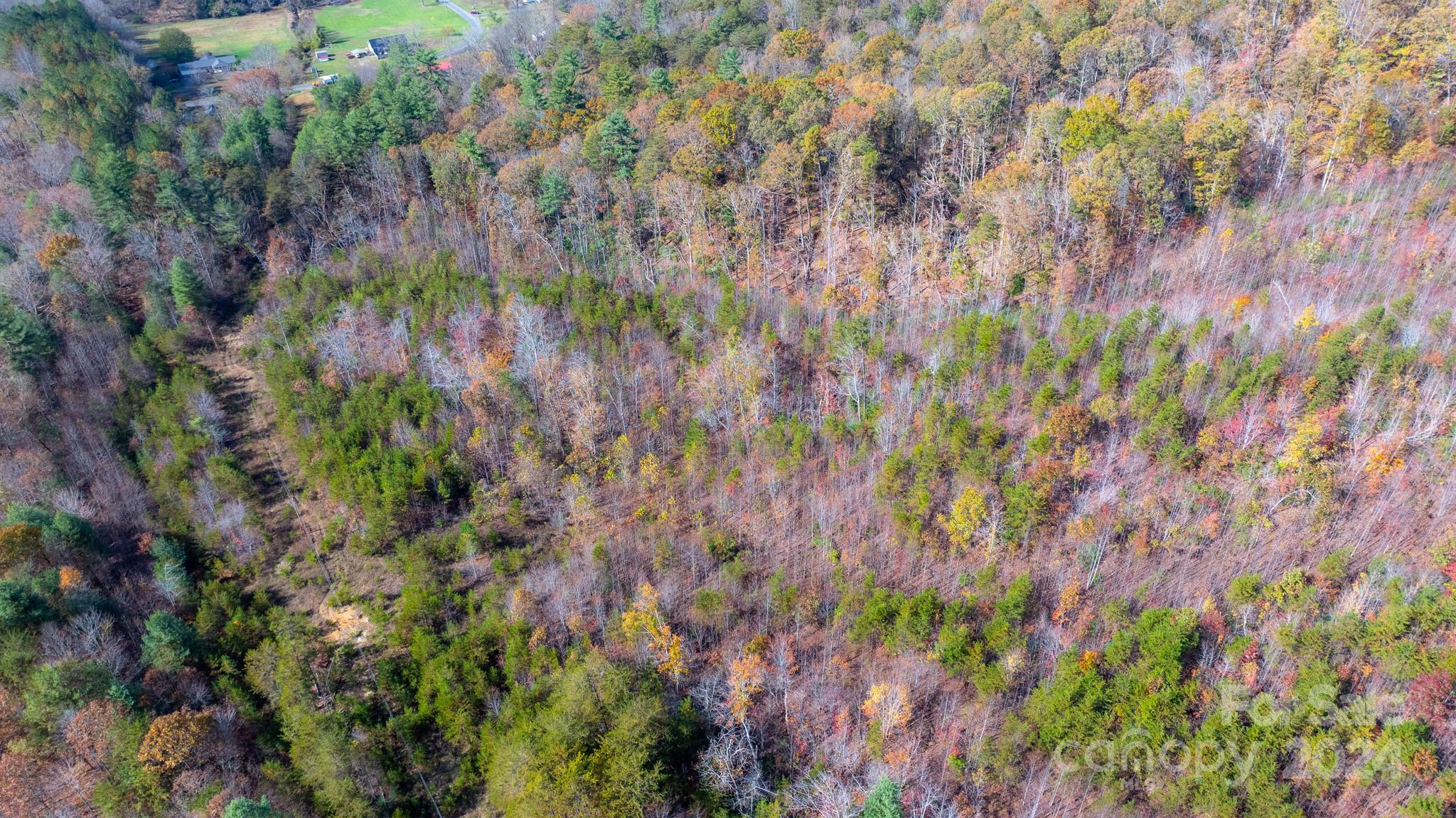 Tbd Wilkerson Way Marion, NC 28752 - Photo 10 of 35 a backyard of a house with lots of green space