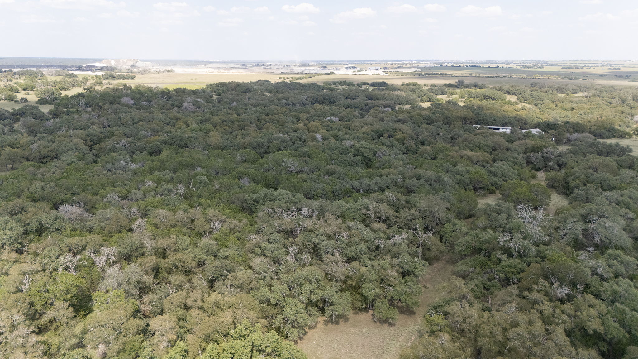 0 Cr 239 Road Georgetown, TX 78633 - Photo 4 of 16 Mature woodlands stretch across the rolling landscape of this expansive rural acreage.
