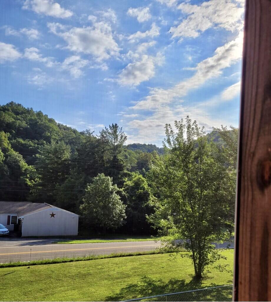 522 Laurels Road Johnson City, TN 37601 - Photo 37 of 38 imagejpeg_0