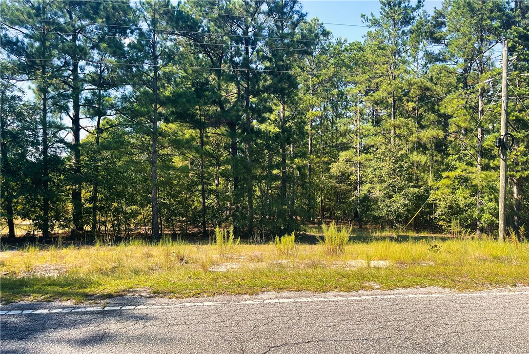 0 St-john St John Church Road Patrick, SC 29584 - Photo 2 of 26 Gallery Image 2