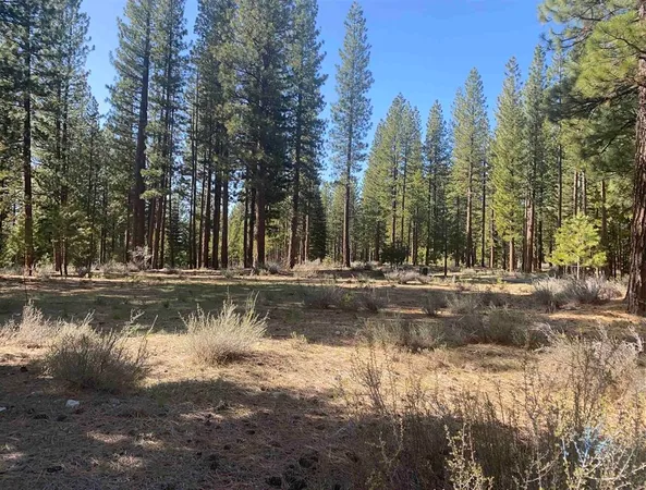 $49,000 | 762 Redtail Loop Road, Clio, CA 96106