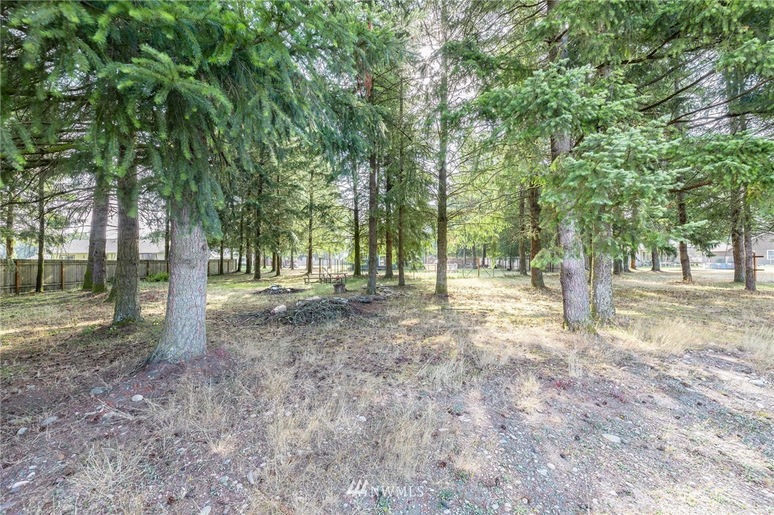 5134 180th Trail Southwest Rochester, WA 98579 - Photo 23 of 25