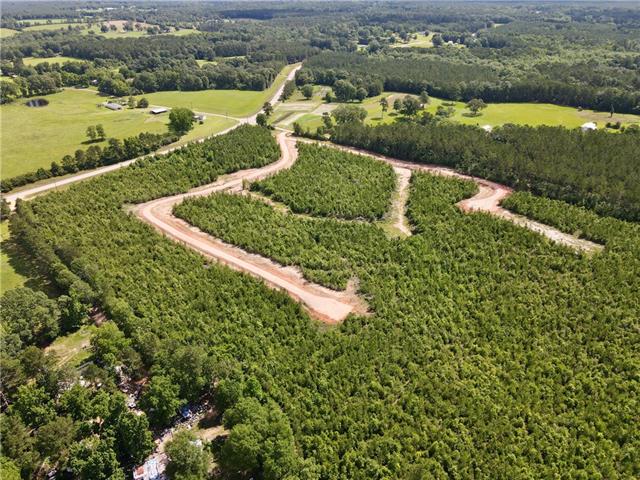 2 436th Highway Angie, LA 70426 - Photo 3 of 19