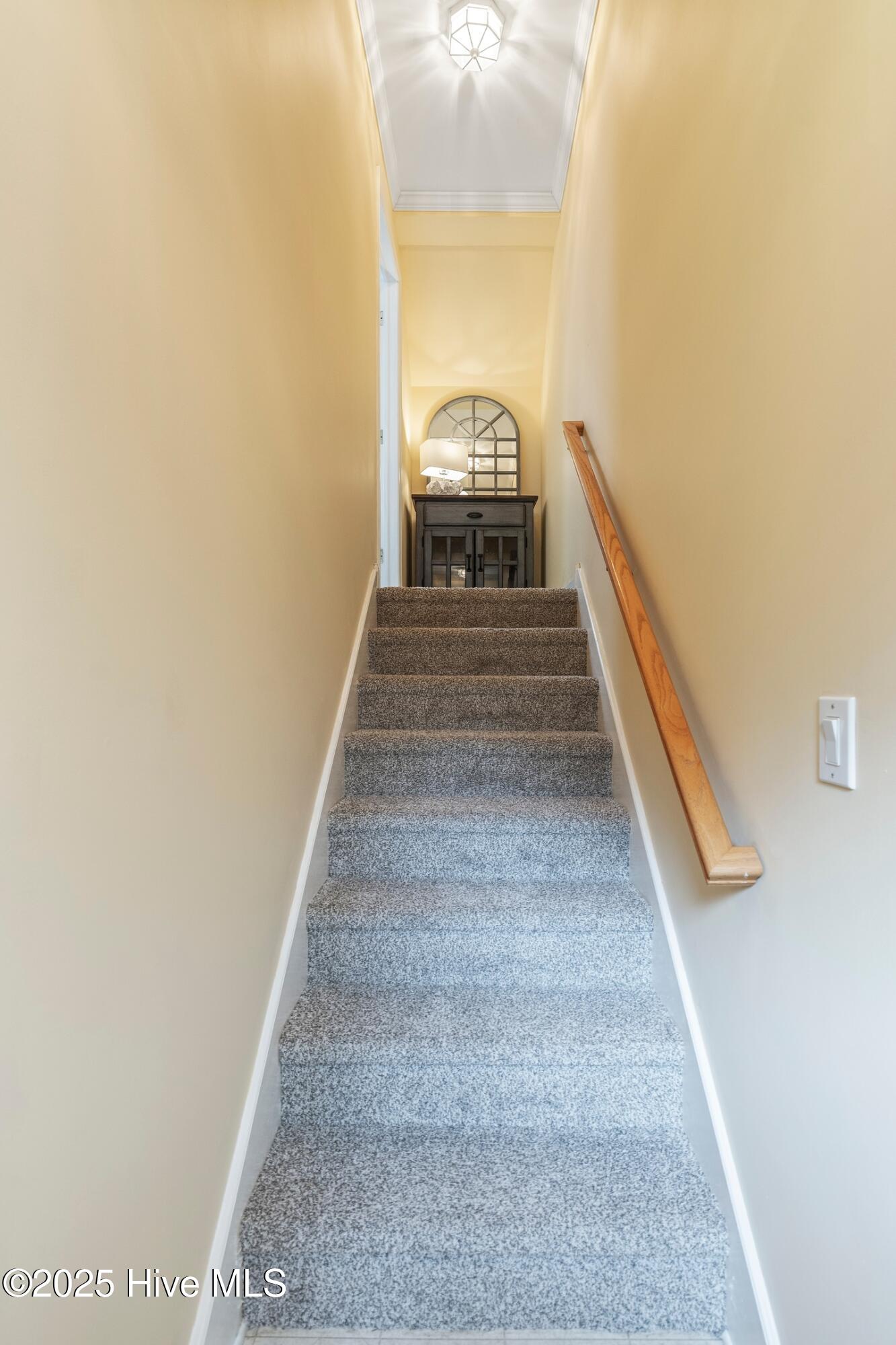 1020 Cordgrass Road Hampstead, NC 28443 - Photo 26 of 65 Stairway leading to bonus room with 3 walk in storage closets