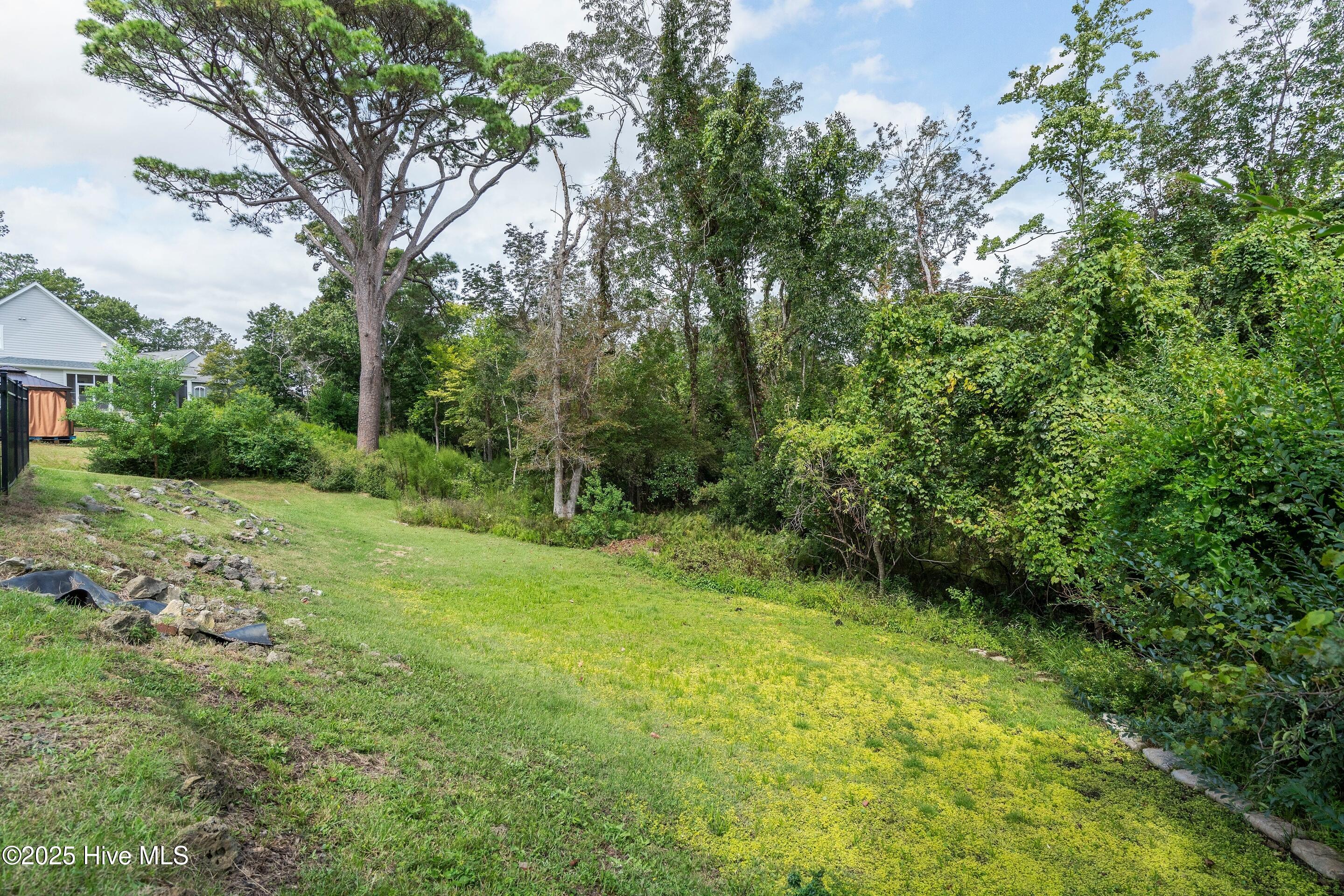 1020 Cordgrass Road Hampstead, NC 28443 - Photo 49 of 65 Additional backyard outside of the fenced area overlooking wooded portion of property