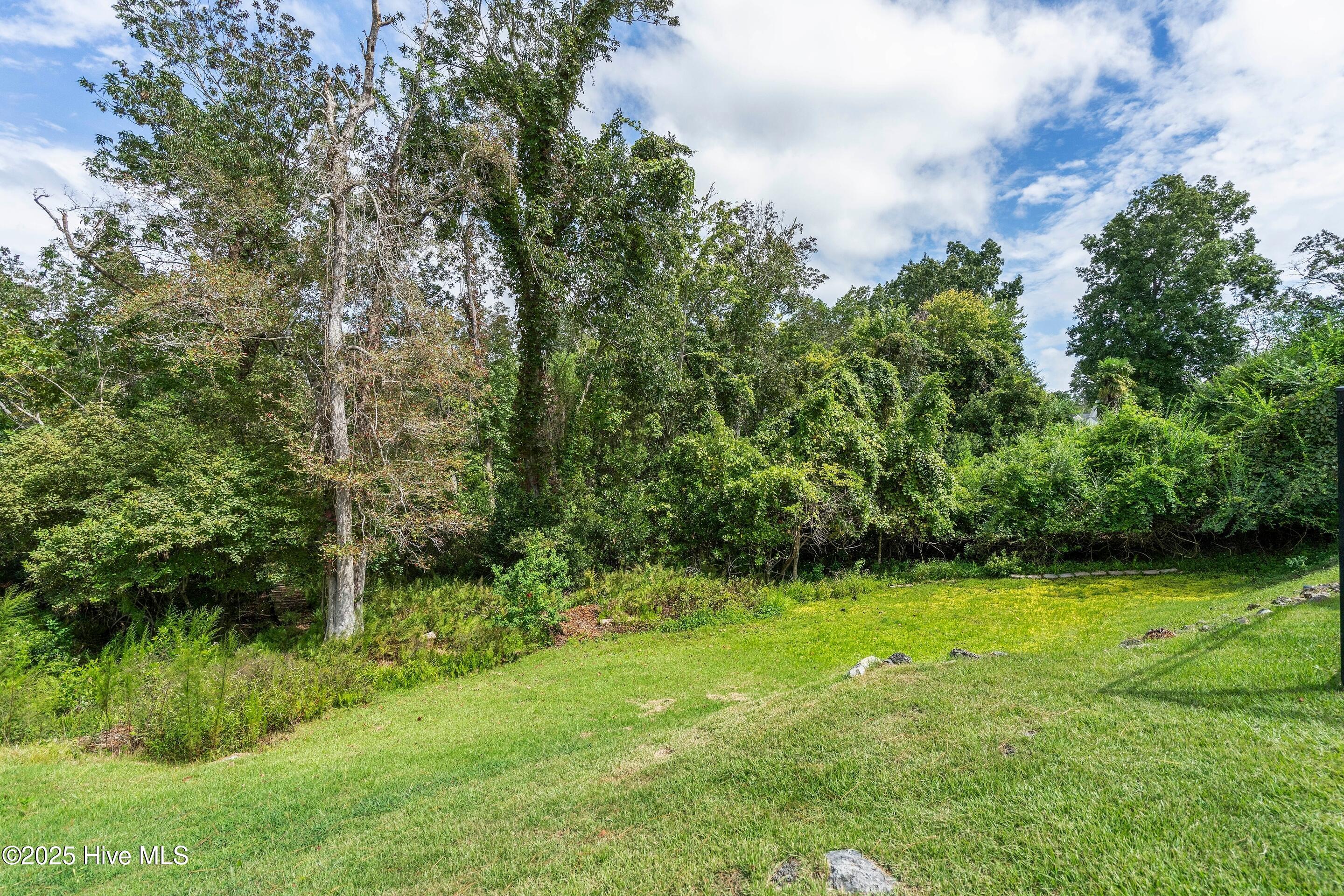 1020 Cordgrass Road Hampstead, NC 28443 - Photo 50 of 65 Additional backyard outside of the fenced area overlooking wooded portion of property