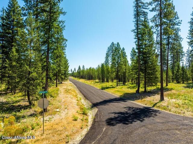2 Block Nna Cannon Lane Blanchard, ID 83804 - Photo 4 of 6 Photo 4