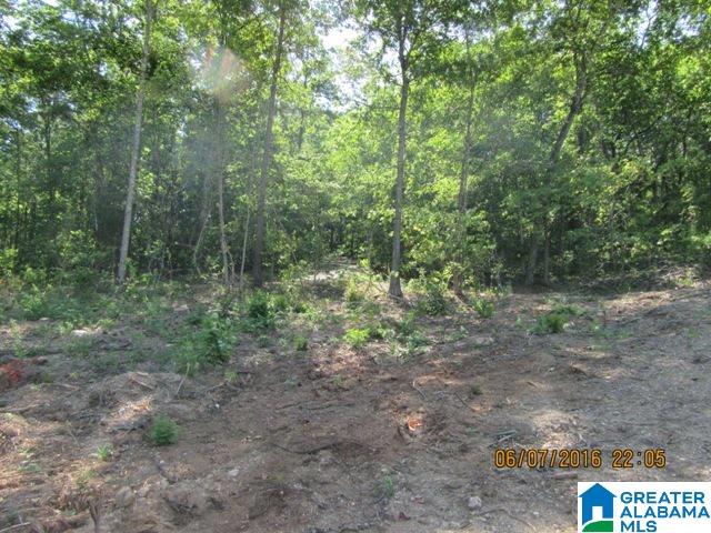 550 Davis Acres Drive, Unit 15 Alpine, AL 35014 - Photo 25 of 48