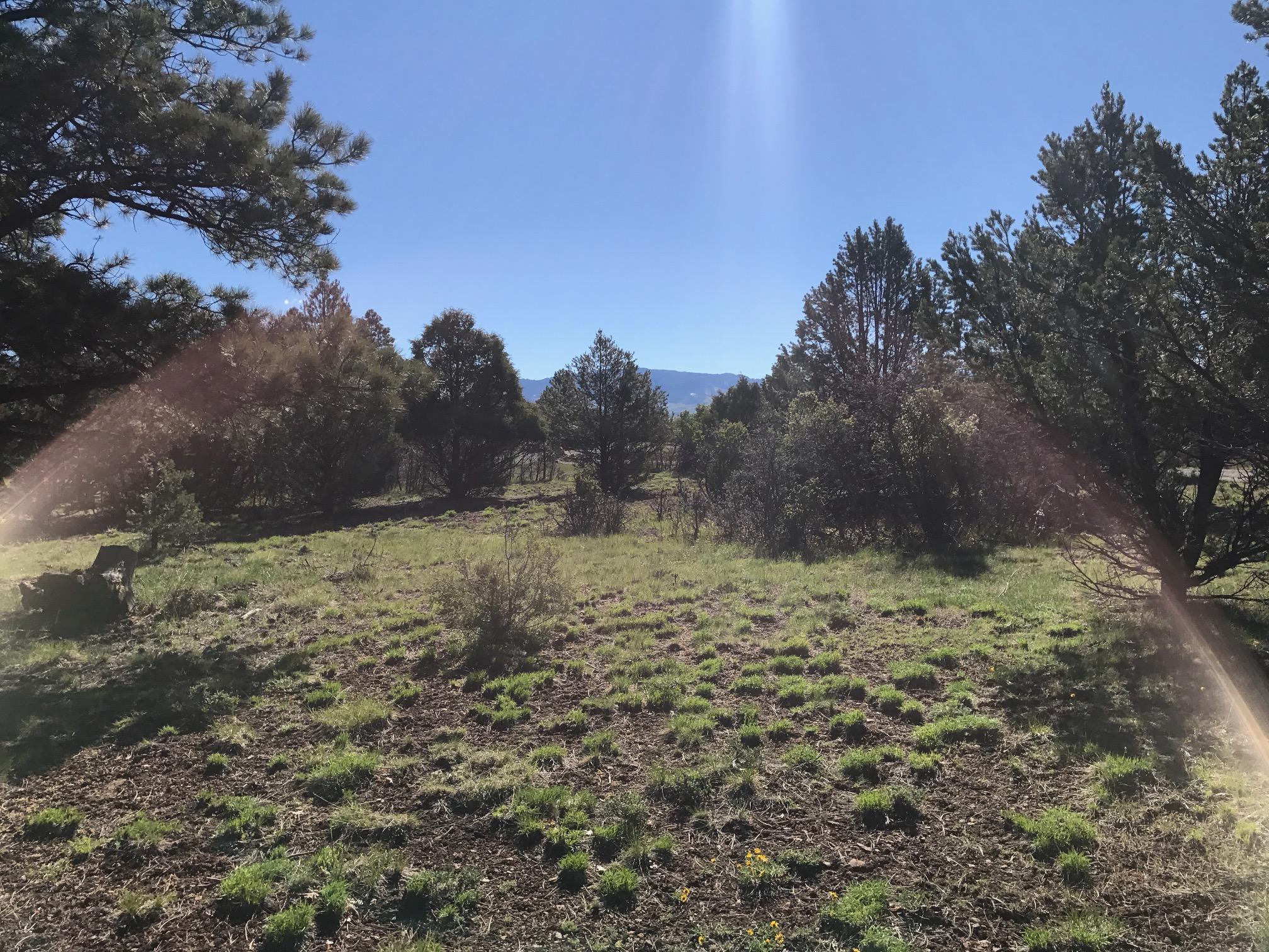 Tbd Poplar Place Ridgway, CO 81432 - Photo 10 of 12 Lamont 11