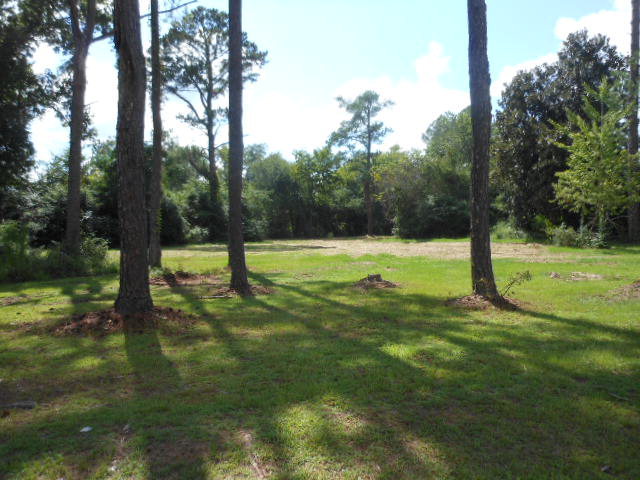 a view of outdoor space with a garden