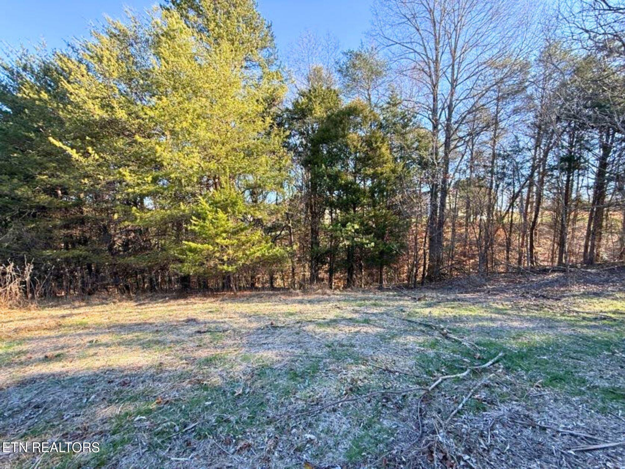 280 Walelu Trail Vonore, TN 37885 - Photo 2 of 15 3