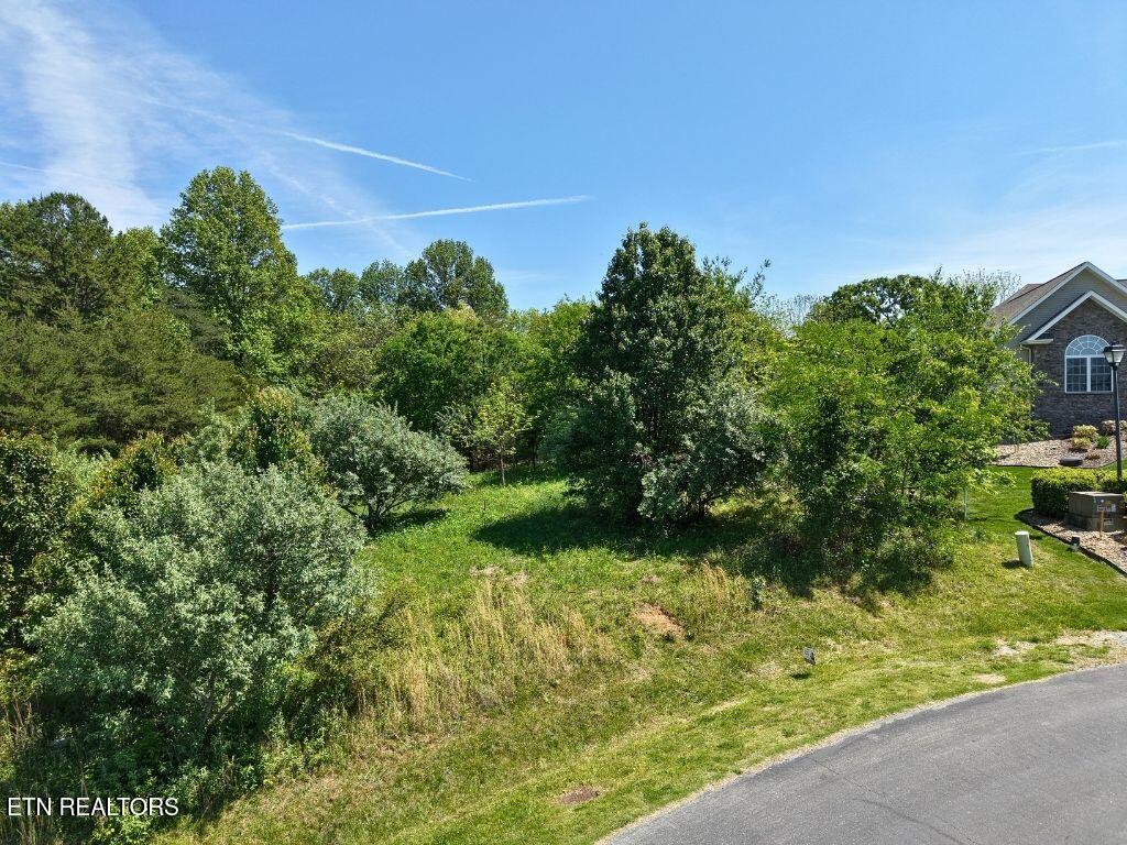 280 Walelu Trail Vonore, TN 37885 - Photo 3 of 12 9