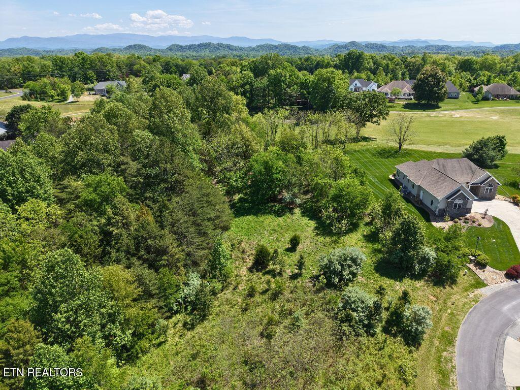 280 Walelu Trail Vonore, TN 37885 - Photo 4 of 12 11