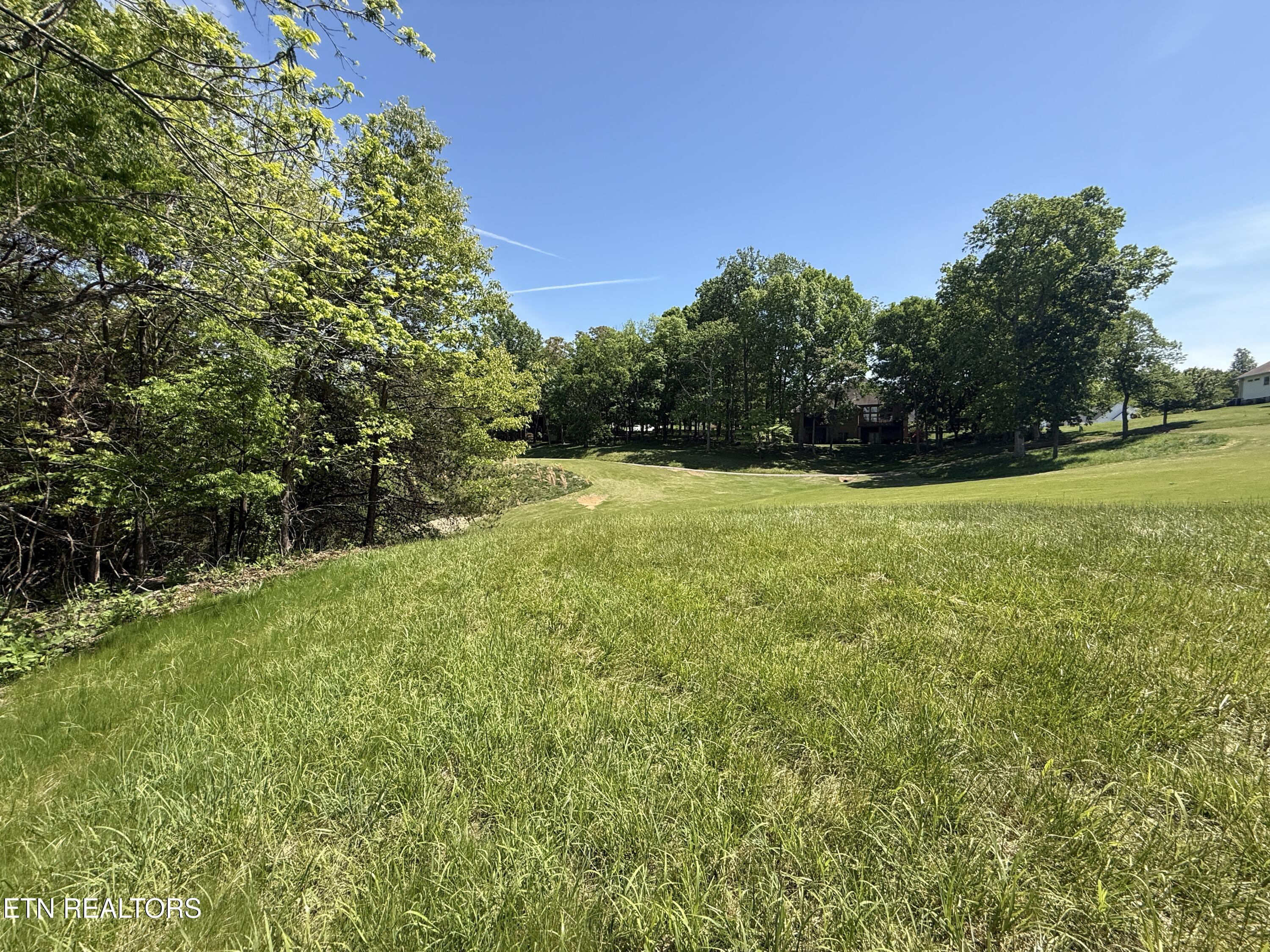 280 Walelu Trail Vonore, TN 37885 - Photo 6 of 12 IMG_0964