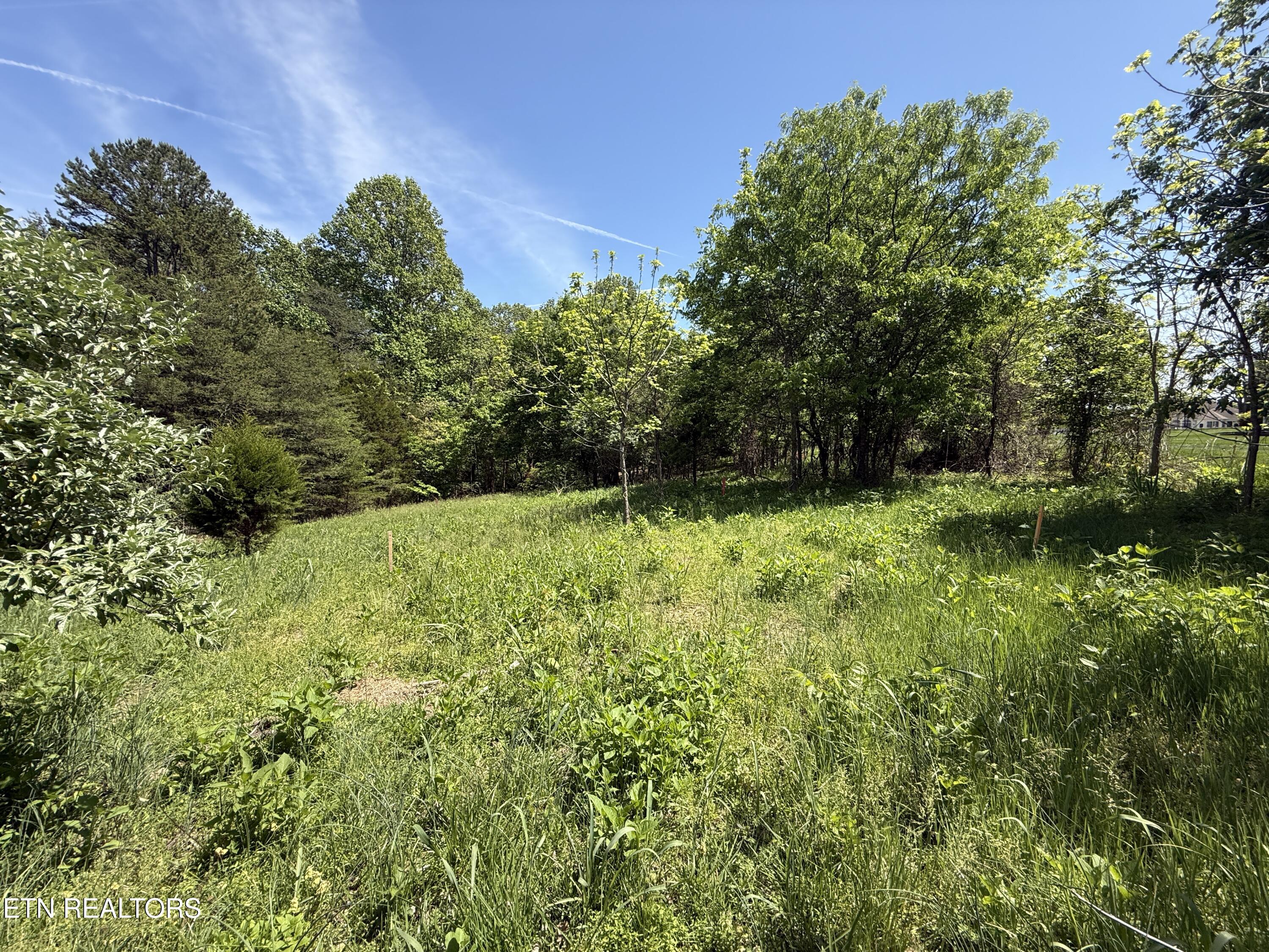 280 Walelu Trail Vonore, TN 37885 - Photo 8 of 12 IMG_0959