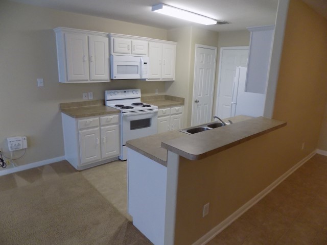 4279 Medina River Loop Spring, TX 77386 - Photo 3 of 23