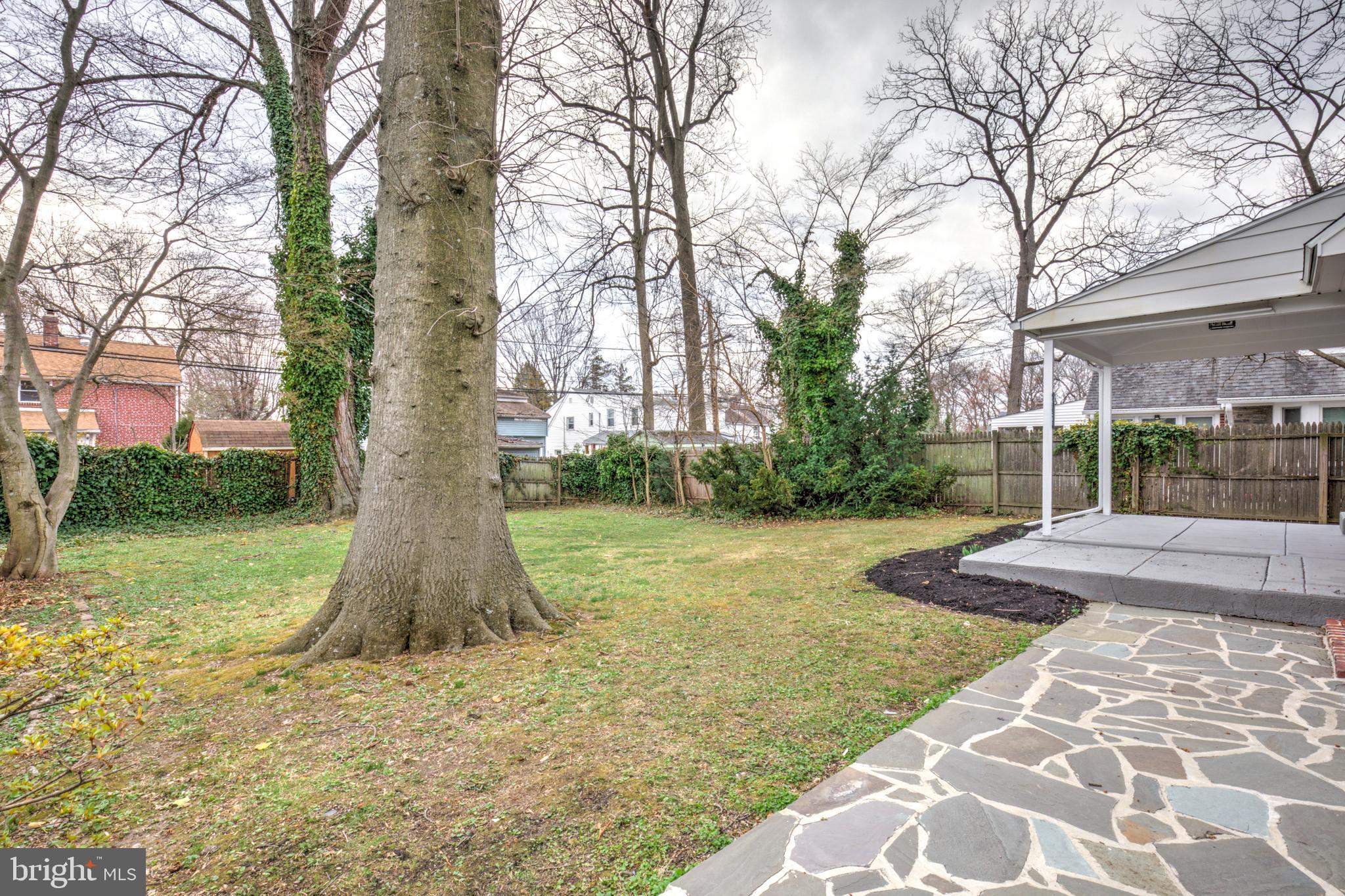 2316 Franklin Avenue Secane, PA 19018 - Photo 29 of 30 a tree in the garden of a house