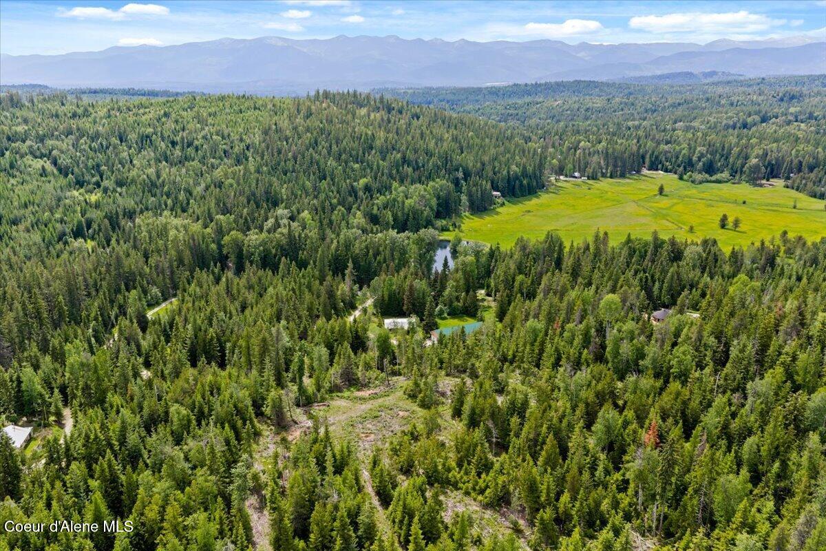4321 Upper Gold Crk Road Sandpoint, ID 83864 - Photo 66 of 75 70-DJI_20260603152248_0665_D