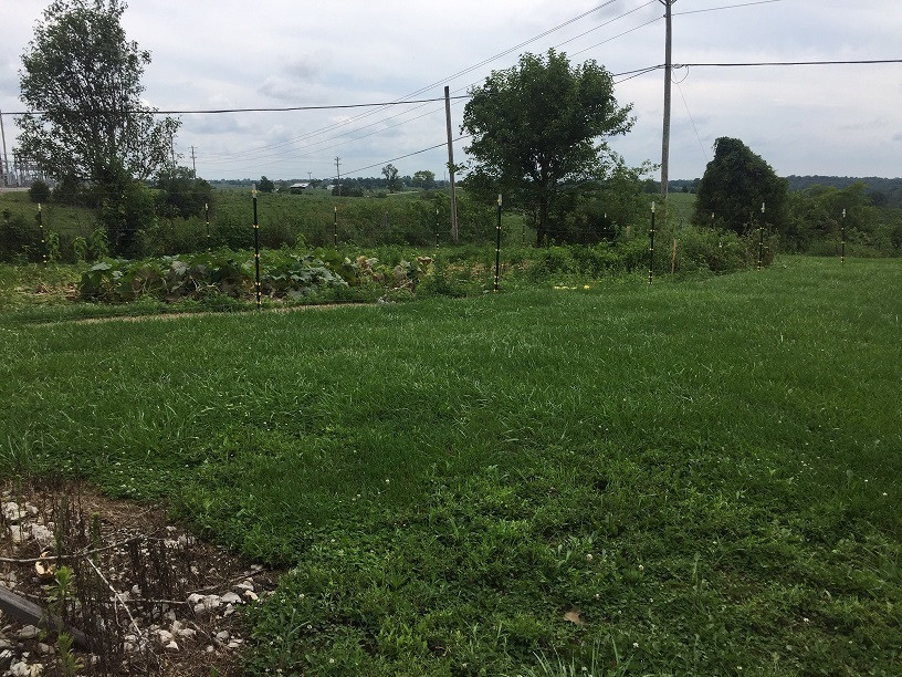 1895 Georgetown Road Owenton, KY 40359 - Photo 9 of 23
