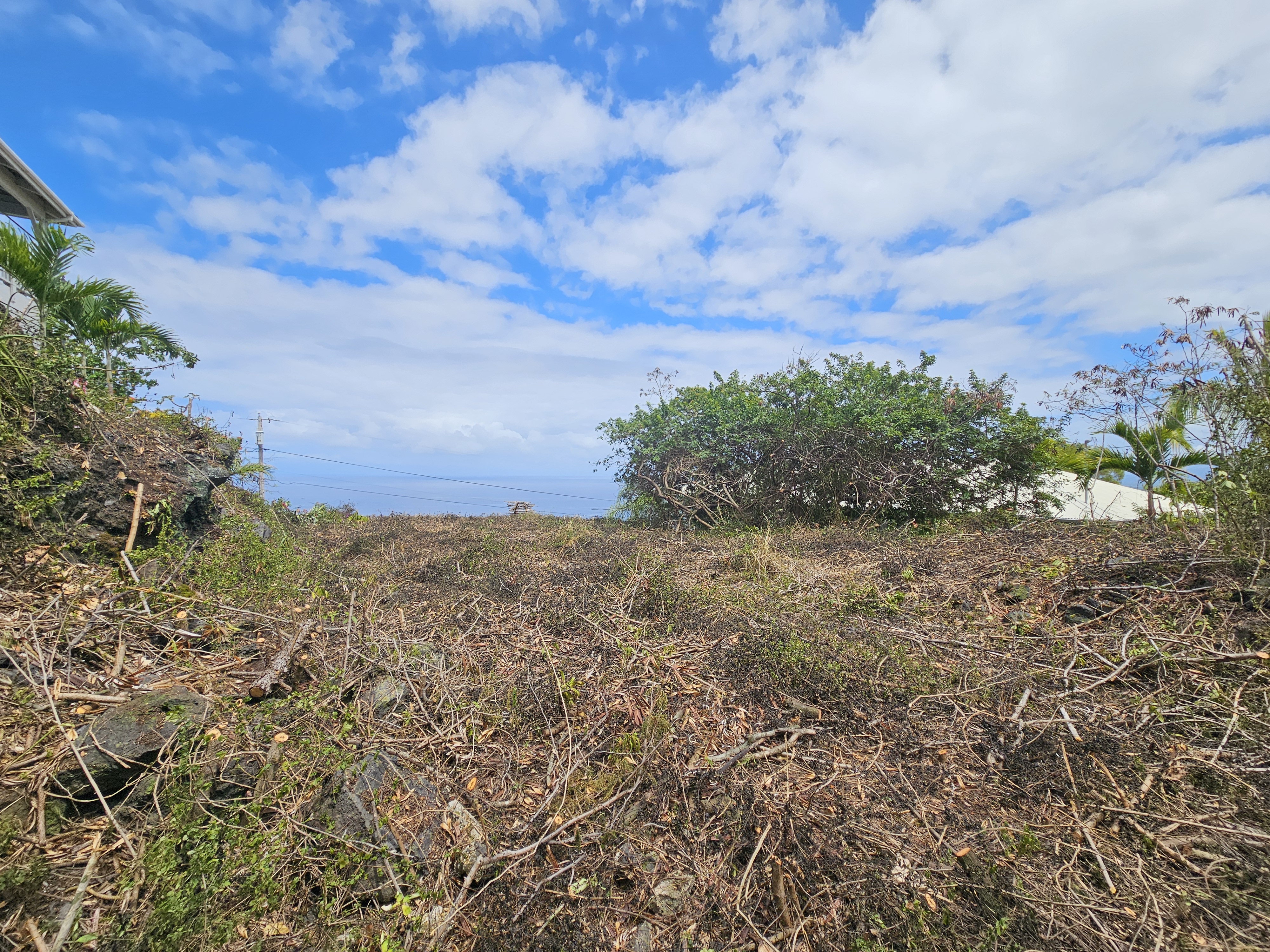 204 Road H Captain Cook Hi 96704 Captain Cook, HI 96704 - Photo 12 of 20 a view of a bunch of trees and bushes