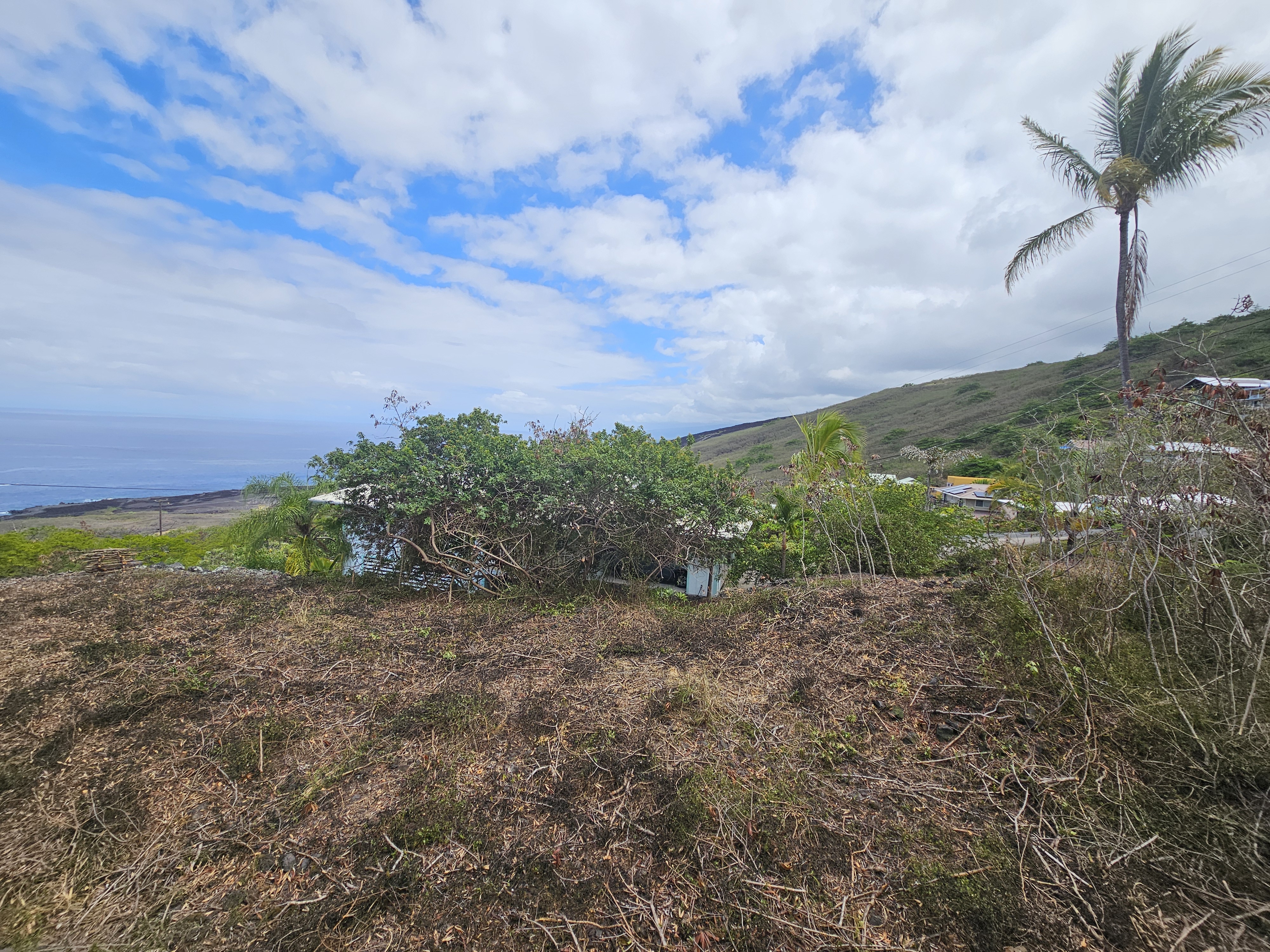 204 Road H Captain Cook Hi 96704 Captain Cook, HI 96704 - Photo 13 of 20 a view of a yard with plants and a bench