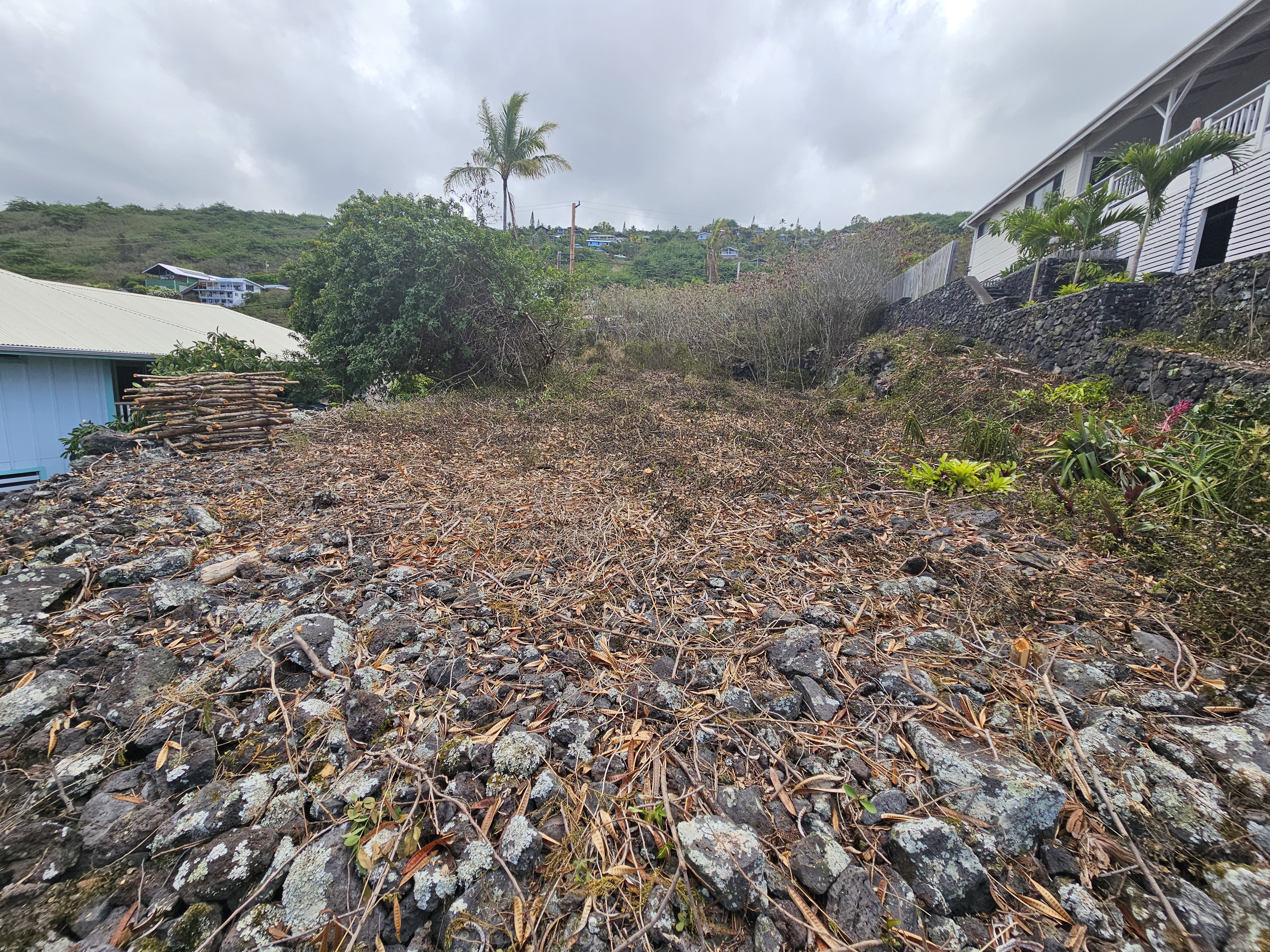 204 Road H Captain Cook Hi 96704 Captain Cook, HI 96704 - Photo 16 of 20 a view of a yard with a tree