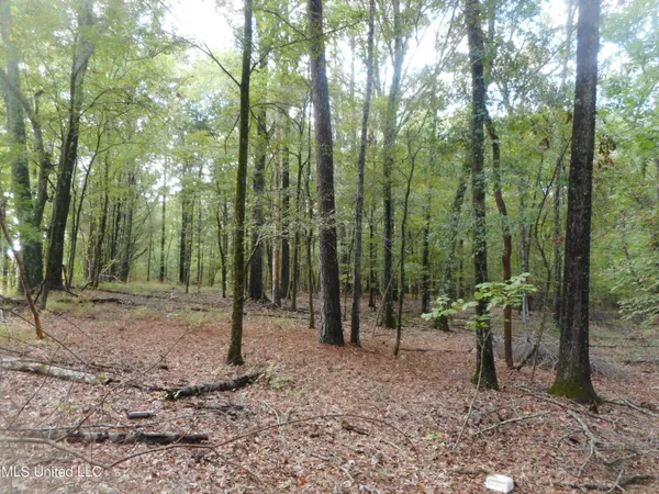 $139,000 | Anding Oil City Road, Bentonia, MS 39040