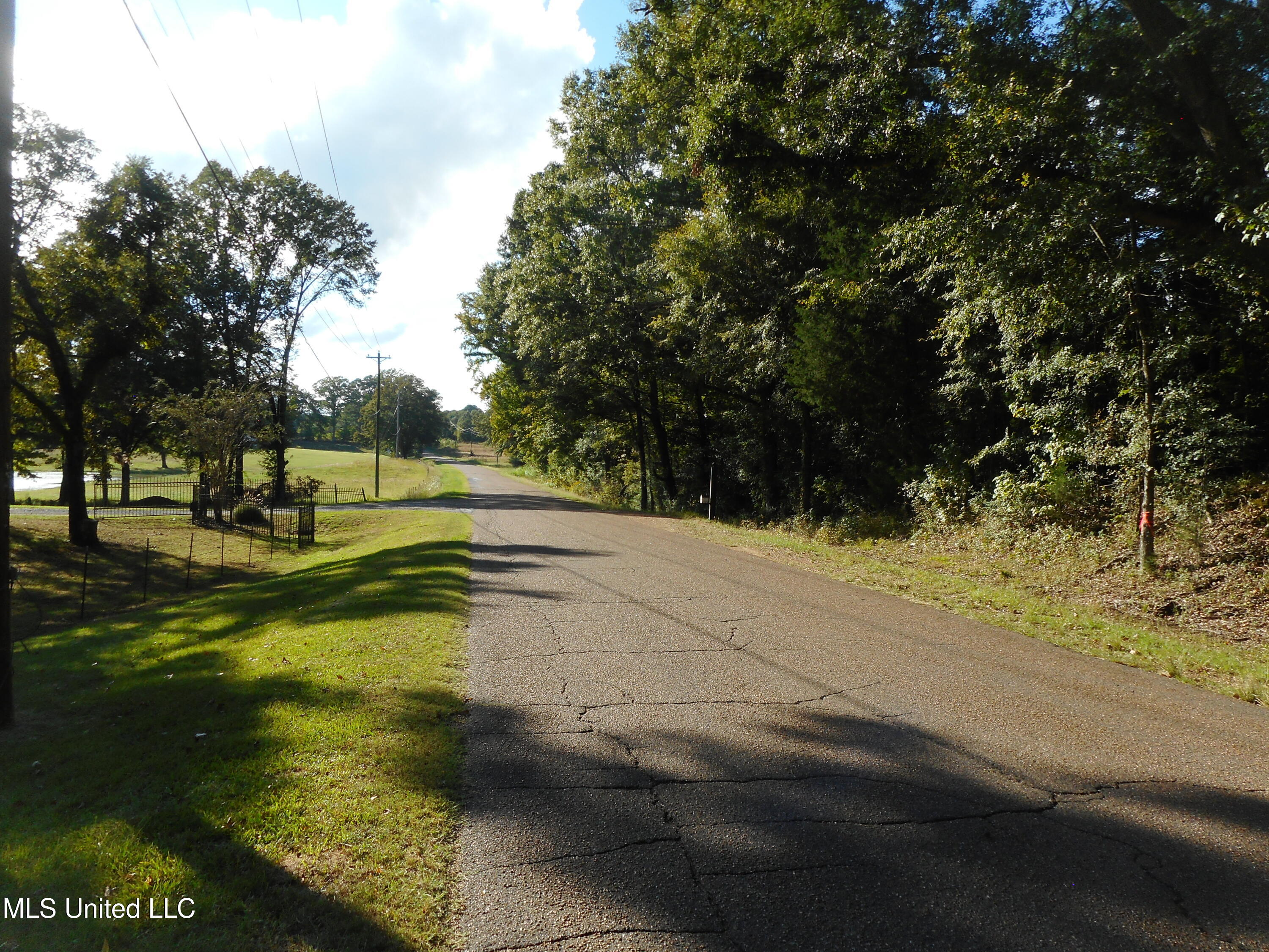 Anding Oil City Road Bentonia, MS 39040 - Photo 3 of 17 View from road