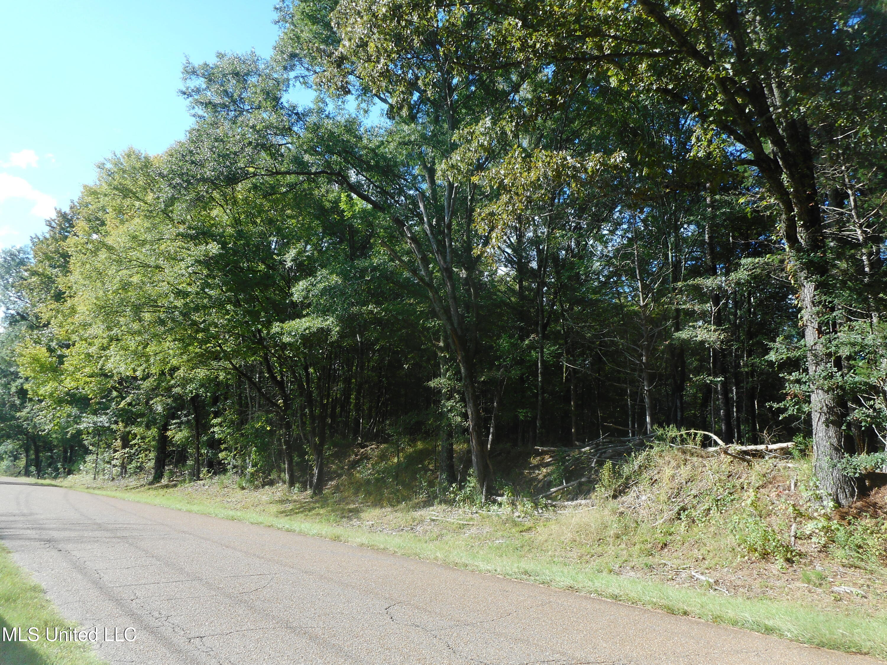Anding Oil City Road Bentonia, MS 39040 - Photo 10 of 17 DSCN1888
