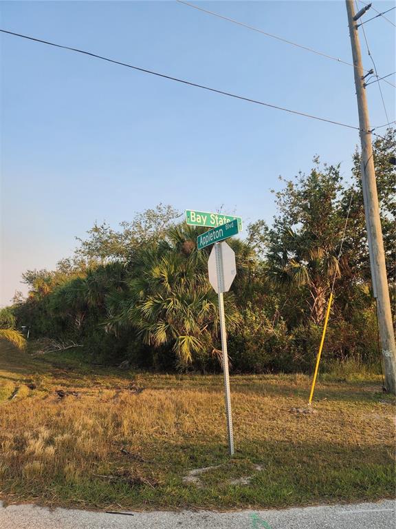 13369 Appleton Boulevard Port Charlotte, FL 33981 - Photo 4 of 6 a front view of a house with a yard