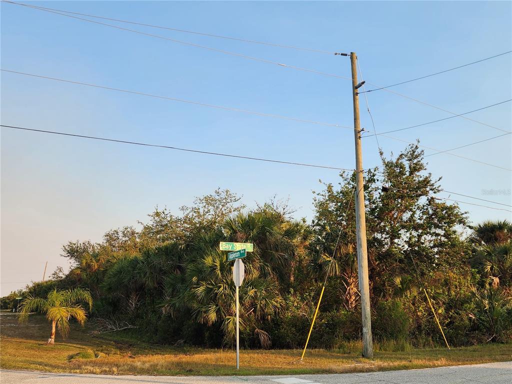 13369 Appleton Boulevard Port Charlotte, FL 33981 - Photo 6 of 6 a view of a street