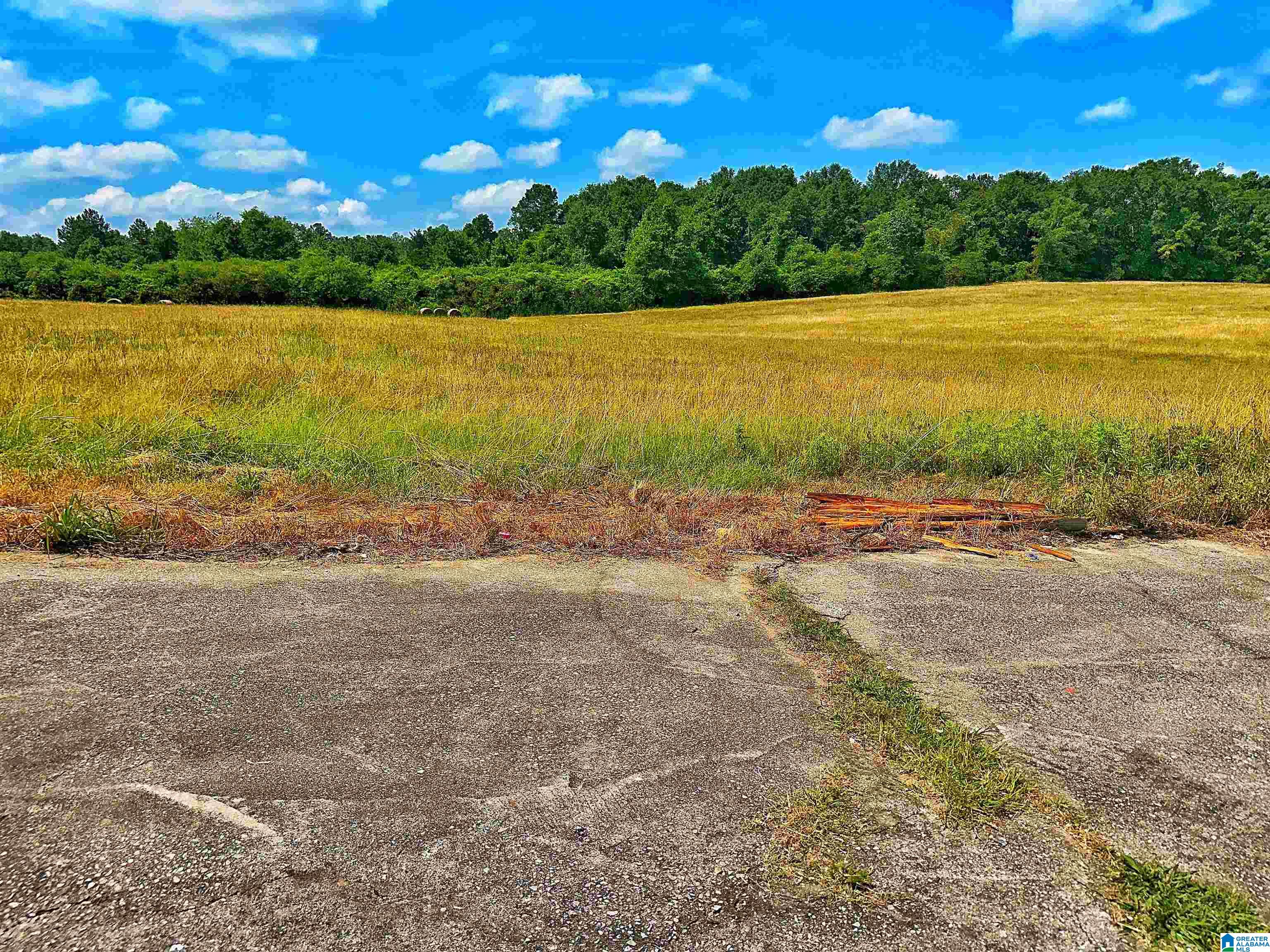 315 County Road 875 Clanton, AL 35045 - Photo 19 of 19